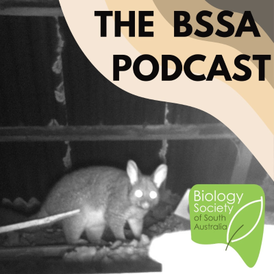 episode Ep. 21 - Tara McKenzie and Adelaide’s Brushtail Possums artwork