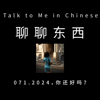episode 071. Summary for the year 2024,你还好吗? - ttmiChinese artwork