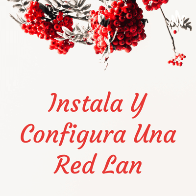 Instala Y Configura Una Red Lan