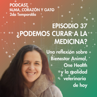 episode E.37: ¿Podemos curar a la Medicina? Una reflexión de Bienestar y salud artwork