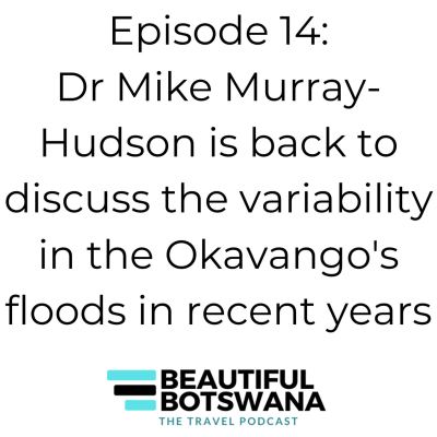 episode 14 - Dr Mike Murray-Hudson - Variability in the Okavango's floods and the flood of 2021 artwork