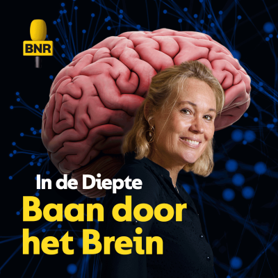 episode 4. De darm-brein as artwork