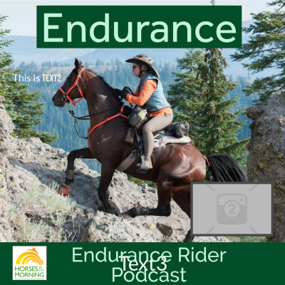 episode Tevis Day with Two First Timers for July 8, 2025 by Arabian Horse Association artwork