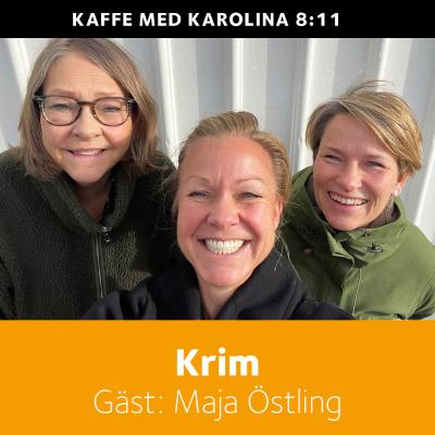 episode Geléhjärnor, chokladögon och krim i rostfri, kakelklädd miljö artwork