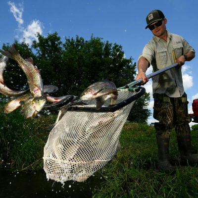 episode Why do anglers need a special stamp to fish for trout in Minnesota? artwork