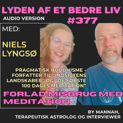 episode #377 - Niels Lyngsø - Første Del om Indsigtens Landskaber - Mindful Misbrug - Pragmatisk Buddhisme artwork