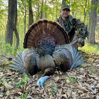 episode Eric Warlick complete US Turkey Super Slam artwork
