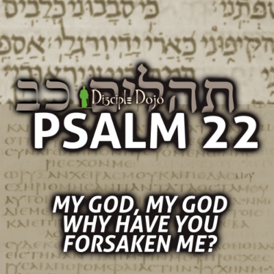 episode What Jesus screamed on the Cross (Psalm 22) artwork