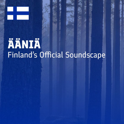 episode Kiireettä (No Hurry) artwork
