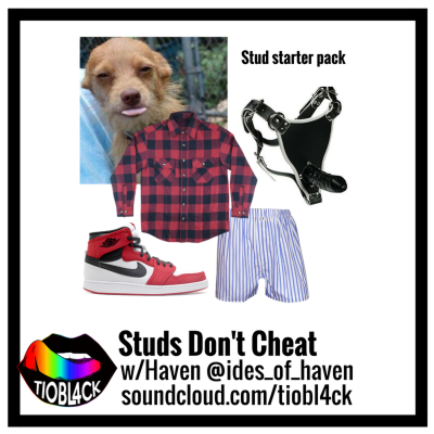 episode Studs Don't Cheat! artwork
