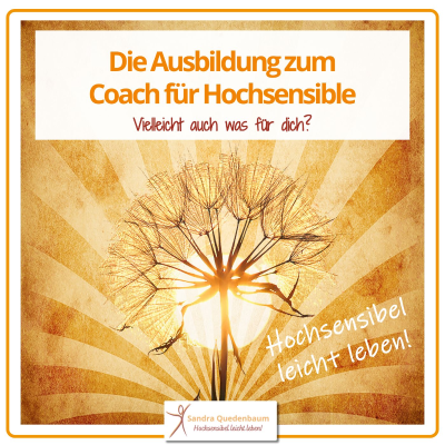 episode 🦋 Die Ausbildung zum Coach für Hochsensible artwork