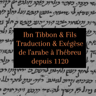 episode Le traité du microcosme d'Ibn Tibbon artwork