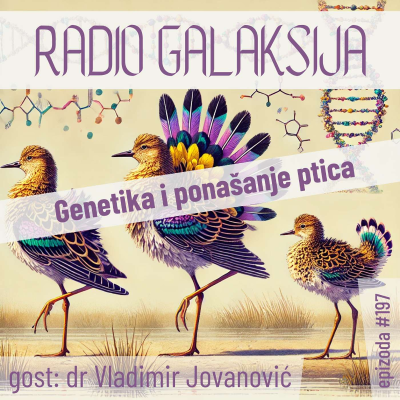 episode Radio Galaksija #197: Genetika i ponašanje ptica (dr Vladimir Jovanović) [25-03-2025] artwork