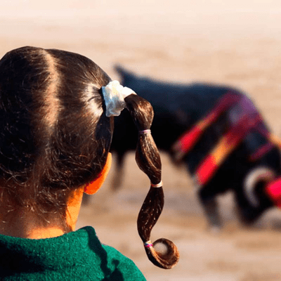 episode ¿La tauromaquia provoca que los niños se vuelvan violentos? artwork