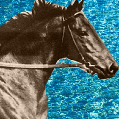 episode Seabiscuit - un cal mic cu suflet mare artwork