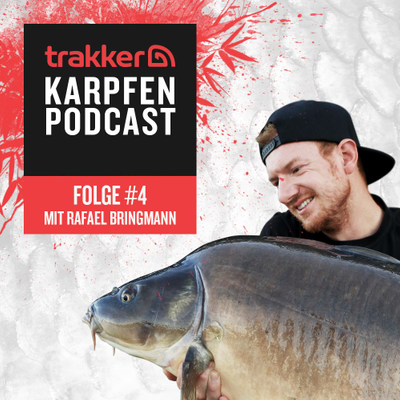 episode Karpfenangeln an großen Stauseen – Spots, Taktik, Köder & mehr artwork