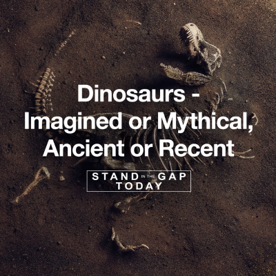 episode 5/12/22 - Stand in the Gap Today artwork