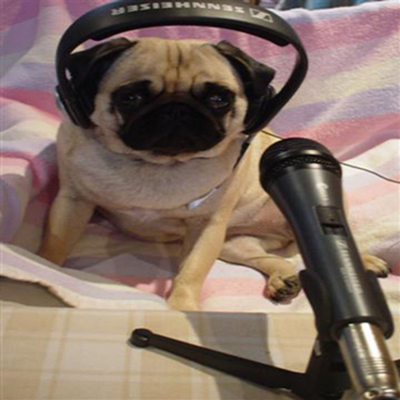 DawgCast