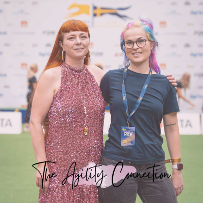 episode 6. Overreliance on verbal cues artwork