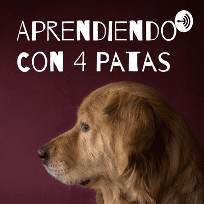 Aprendiendo Con 4 Patas