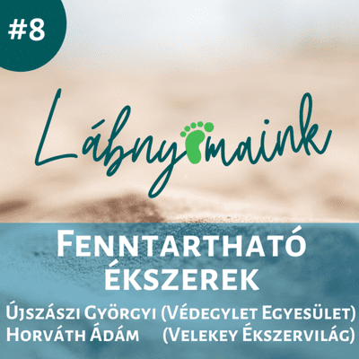 episode #8 - Fenntartható ékszerek - Újszászi Györgyi (Védegylet Egyesület), Horváth Ádám (Velekey Ékszervilág) artwork