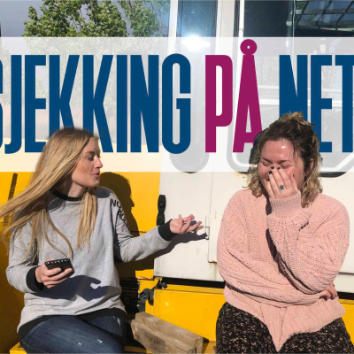 episode Sjekking på nett ep.7 artwork