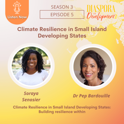 episode Climate Resilience in Small Island Developing States: Building Resilience Within artwork