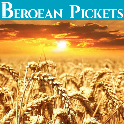 Beroean Pickets – JW.org Reviewer