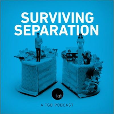 episode Ep 12: How to Make Divorce Friendlier for You and Your Children artwork