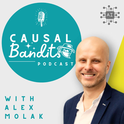Causal Bandits Podcast