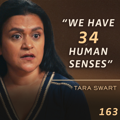 episode E163 - Dr. Tara Swart: The Hidden Language of Signs, Synchronicity & the Mystery of Consciousness artwork
