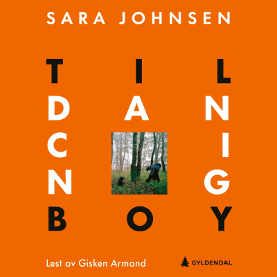 Cover image Til dancing boy