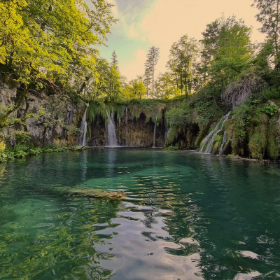 episode Episode 245 - Creature from the Black Lagoon artwork