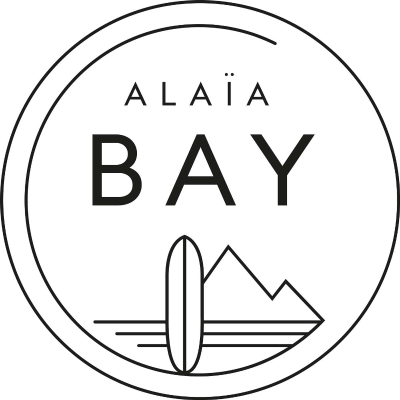 episode #4 Vincent Van Laethem - CEO of Alaia Bay Wave Pool artwork
