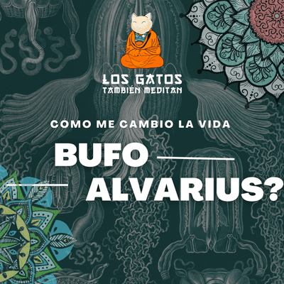 episode T:1 E:3Como me cambio la vida BUFO ALVARIUS? artwork