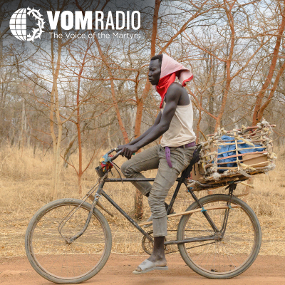 episode AFRICA: Bibles, Partnerships and Equipping the Next Generation For Gospel Work artwork