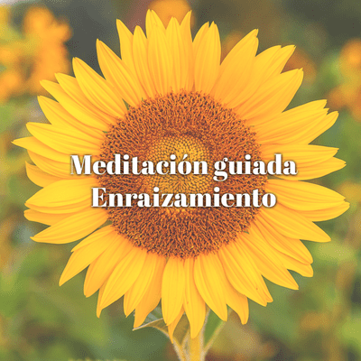 episode Meditación: Enraizamiento artwork