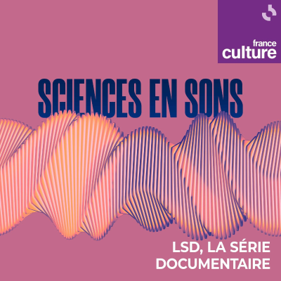 episode Sciences en sons 4/4 : Archéologie : les acoustiques du passé artwork
