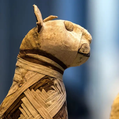 episode Las mascotas en el antiguo Egipto: una compañía sagrada en el mundo terrenal y en el Más Allá artwork