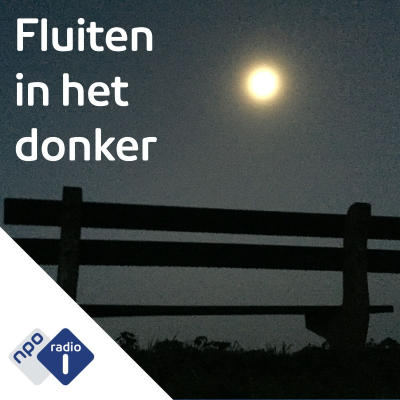 Hoorspel : Fluiten in het donker