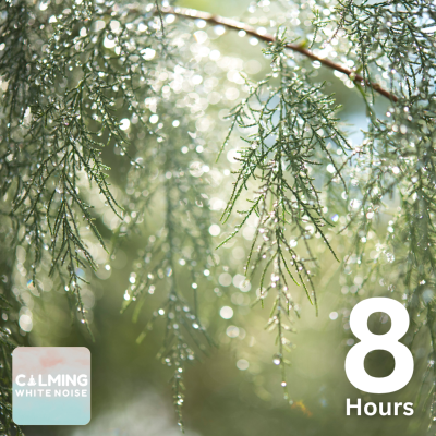 episode Gentle Rain on Tree Leaves | White Noise Sound for Sleep & Relaxation artwork