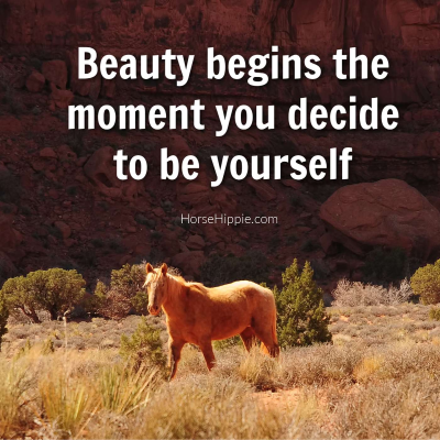 episode Beauty artwork