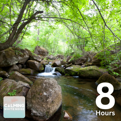 episode Peaceful Creek Ambience | 8 Hours of Flowing Water for Meditation & Stress Relief artwork