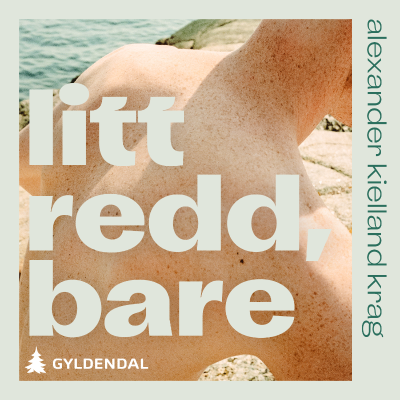 Cover image Litt redd, bare