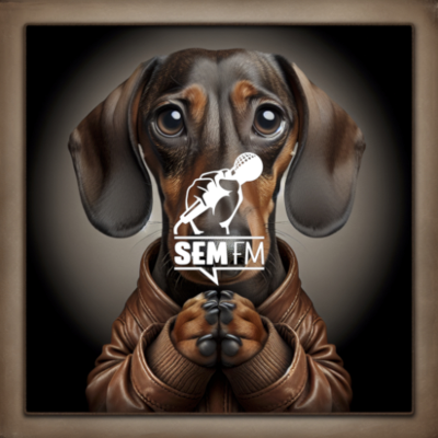 episode SEM fm #120: The Great Regret artwork