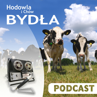 episode Płukanie zarodków, a metoda OPU. Czym się różnią? artwork