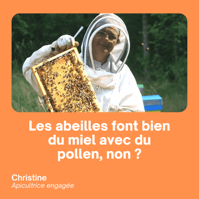 episode Les abeilles fabriquent bien du miel avec du pollen, non ? - Christine Gonella artwork