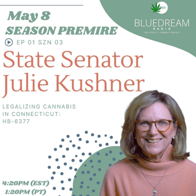 episode Legalizing Cannabis In Ct w/ State Senator Julie Kushner artwork