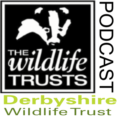 Derbyshire Wildlife Trust Podcast