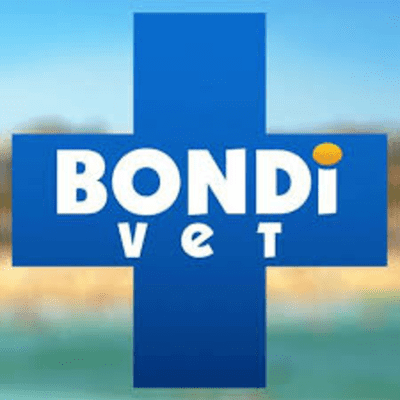 episode Bondi Vet Podcast #1; Conservation Special, Dr Evan Antin, Dr Audrey Shen and Dr Michael Pyne artwork